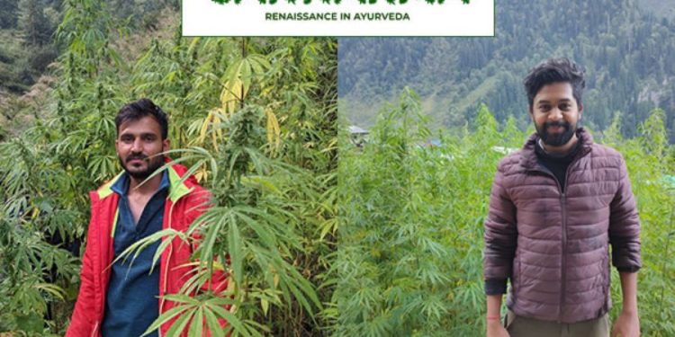 Cannarma Secures Pre-Seed Funding to Revolutionize Medicinal Cannabis Landscape 14 Cannarma Secures Pre Seed Funding to Revolutionize Medicinal Cannabis Landscape 01