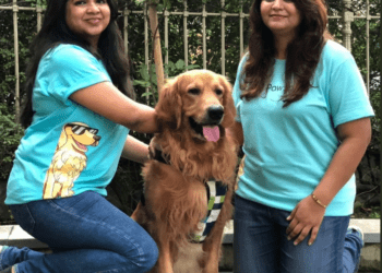 Papa Pawsome Fetches 400K in Seed Funding Led by Indian Angel Network 02